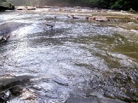 photos2011003433