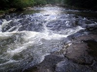 photos2011003441