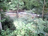 photos2011003454