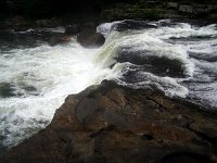 photos2011003460