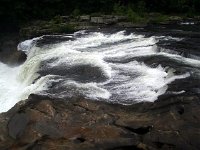 photos2011003461