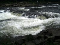 photos2011003465