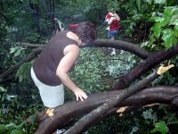 photos2011003471