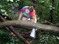photos2011003472