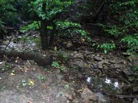 photos2011003473