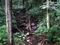 photos2011003476