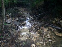 photos2011003480