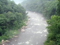 photos2011003485
