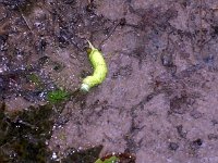 photos2011003487