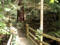 photos2011003513