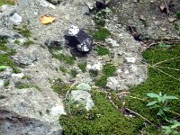 photos2011003515