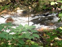 photos2011003516