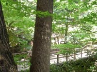 photos2011003518