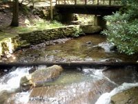 photos2011003519