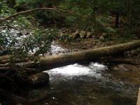 photos2011003526