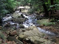 photos2011003527