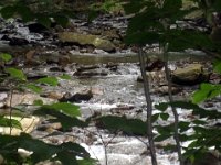 photos2011003528