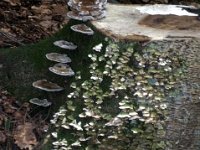 photos2011003529