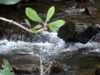 photos2011003530
