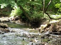 photos2011003531
