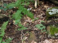 photos2011003535