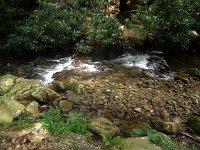 photos2011003536