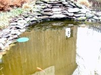 photos2011004067