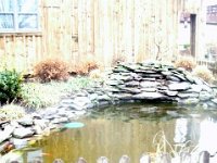 photos2011004068