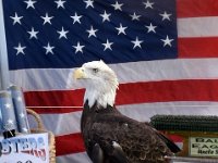 photos2011004173