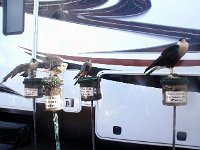 photos2011004174