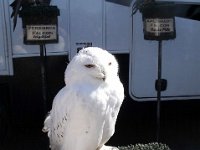 photos2011004175