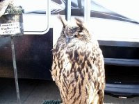photos2011004176