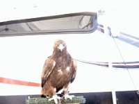photos2011004179