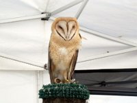 photos2011004180