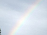 photos2011004071