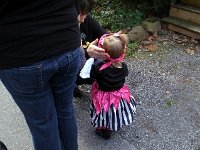 photos2011004109