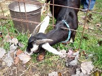 photos2011004126