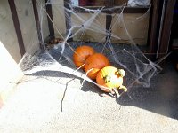photos2011004127