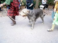 photos2011004136