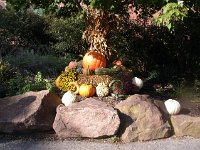photos2011004147