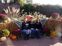 photos2011004155