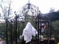 photos2011004163