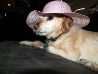 201200400