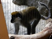 201200628