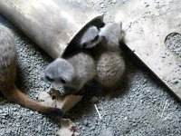201200631