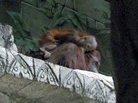 201200638