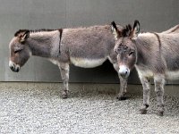 201200648