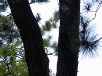 201201132