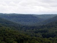 201201258