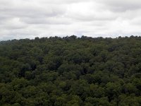 201201259